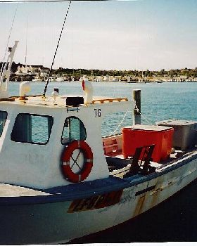 Pamala II