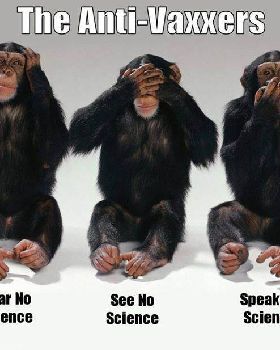 92c393cac3e4383bf170253cb493d2df--monkey-business-survival-guide