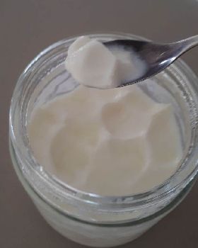 Yoghurt