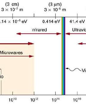 Figure300301a