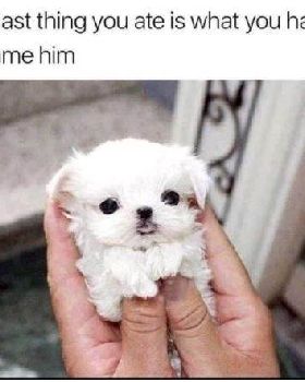 uuuuuuuuuuuuuuuuuuuuu