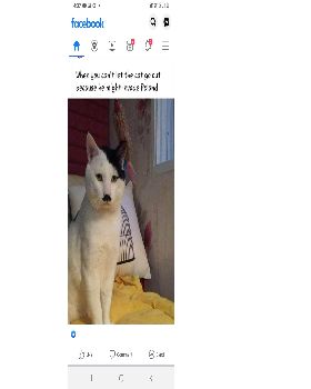 Screenshot20211206-043232Facebook