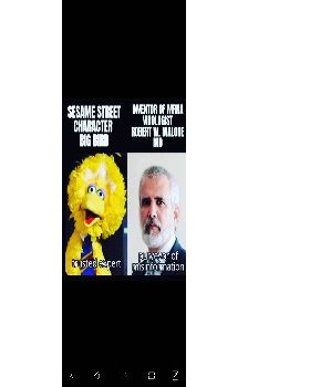 Memes