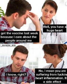 Memes