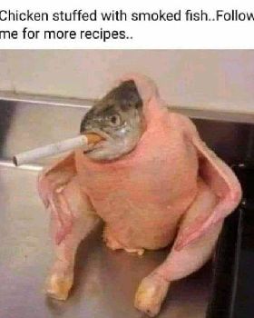 chickfish