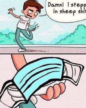 Vaccine Memes