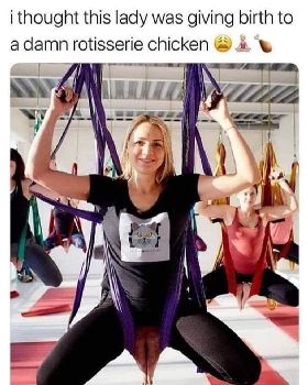 chicken