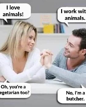 animals