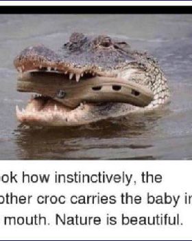hrtyhthnthrnrtny