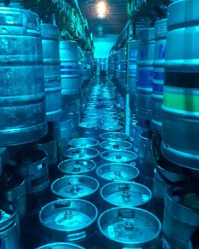 Beer BB