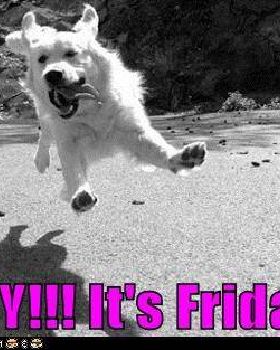 tgif