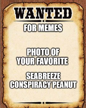 Meme photo