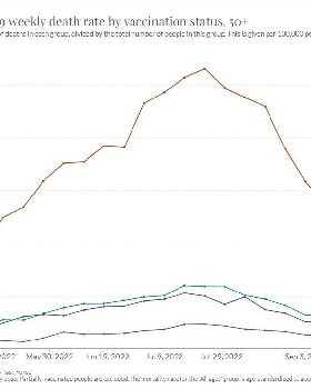 Web capture25-11-202212311ourworldindata.org