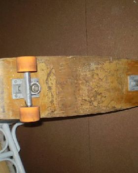 Robscot skate board