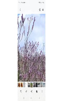 Screenshot20230123152332Gallery