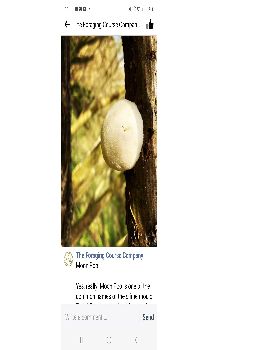 Screenshot20230319113344Facebook
