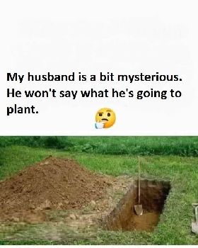 plant