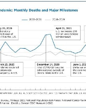 united-states-deaths-spiked-as-covid-19-continued-figure-3