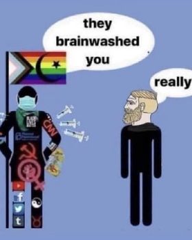brain