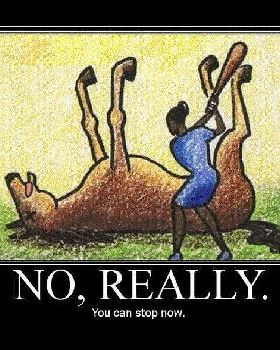 dead horse