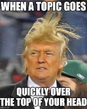 trump over head