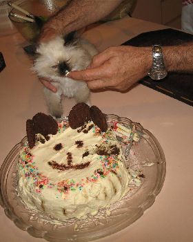 My Cake