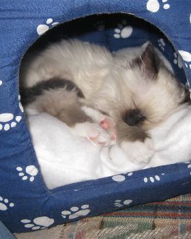 My pussy