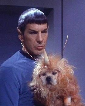remember-when-star-trek-made-an-exotic-alien-by-adding-a-horn-to-a-dog