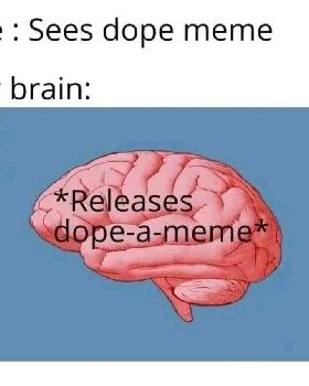 dope meme