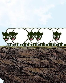 sheep
