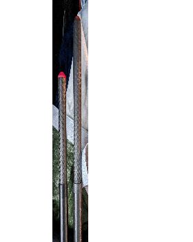 Ferrule
