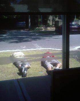 Office view