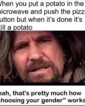 419905275101594122778572605252273659994144808n