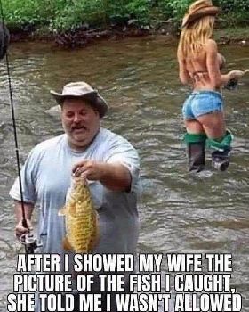 fish