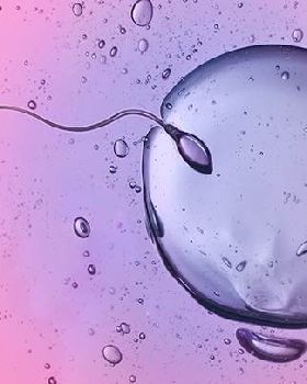 How-Fertilization-Happens-722x406