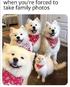 family