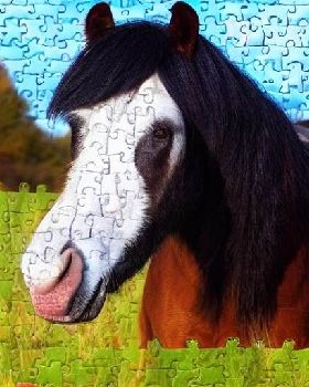 67754439-jigsaw puzzle, featuring a photo of a obnoxious looking, but otherwise kind-hearted shire h