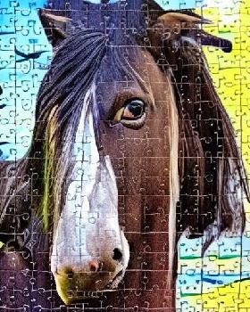 4239032036-jigsaw puzzle, featuring a photo of a obnoxious looking, but otherwise kind-hearted shire
