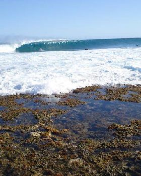 gnaraloo