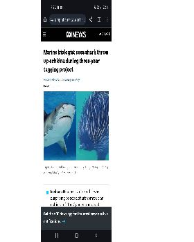 Screenshot20240606-193224Chrome