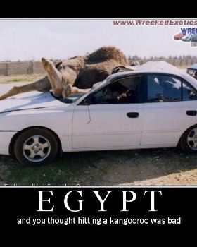 camel right of way