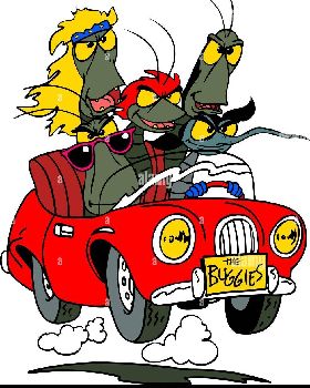 a-cartoon-rock-group-of-bugs-traveling-by-car-RH4T3M