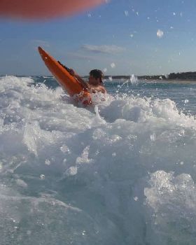 Nipper in action
