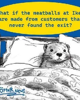 funny image