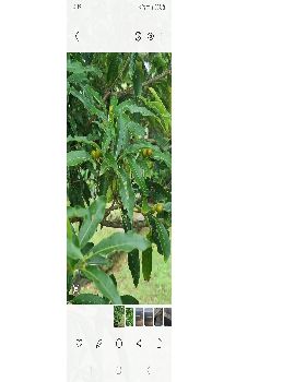 Screenshot20250109161207Gallery