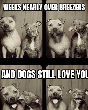 dogo