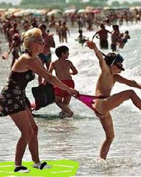 surf