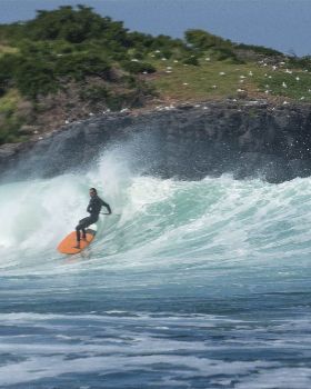 sup island 3 copy