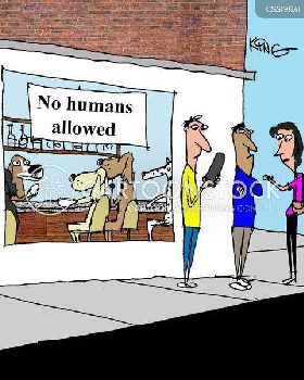 animals-animals-pet-dogfriendly-dogcafes-dogowners-jknn2777low