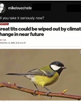 Screenshot 2026-01-18 at 10.06.33